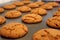 Freshly Baked Gingersnap Cookies Closeup