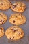 Freshly baked, home-made chocolate and butterscotch chip cookies