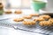 freshly baked oatmeal cookies cooling on a wire rack