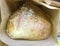 Freshly baked oregano bread.