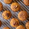 Freshly baked pumpkin muffins with walnuts, cinnamon and nutmeg