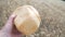 Freshly baked rustic bread, near the wheat field. Blur focus.