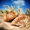 Freshly baked traditional bread with wheat field on background