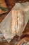 Freshly baked wheat bread, homemade cakes, still life with bread, crisp loaf of bread, still life on a rustic background, top view