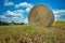 Freshly baled hay in a field.