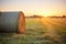 freshly baled hay in sunrise gleam