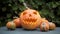 Freshly Carved Halloween Pumpkin with smile