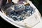 Freshly caught fish on fishing boat at market in Sarande city harbor