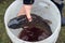 Freshly caught fish in the hand of a man on the background of a plastic barrel, close-up, top view-the concept of a pleasant time