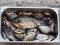 Freshly caught golden carp in a metal basin. Russian river fish