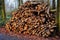 freshly chopped logs stacked in a neat pile