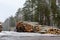 Freshly chopped pine and birch tree logs stacked up on top of each other in a pile. Harvest of timber in the winter