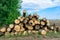 Freshly chopped pine tree logs stacked up on top of each other in a pile. Harvest of timber. Firewood is a renewable energy source