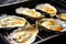 freshly cooked grilled oysters with garlic sauce