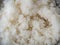 Freshly cooked white rice,White isolated on background,top view,Texture,dish,health