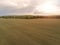 Freshly cultivated farmland with animal trails, Forest in the background, Cloudy blue sky, Concept agriculture. Sun flare