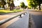 freshly curb with a skateboarding rail