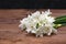 Freshly cut bunch of white narcissi on a wooden table