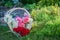 Freshly cut flowers in basket in summer garden