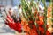 freshly cut gladiolus flowers at the summer market