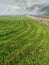 Freshly cut grass in a park field with tractor track traces, Selective focus. Nobody. Blue cloudy sky, Park maintenance concept