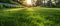 Freshly Cut Grass at Sunrise: A Minimalist Symphony. Concept Nature Photography, Sunrise,