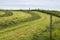 Freshly cut hay