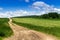 Freshly cut hay field