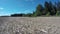 Freshly cut rapeseed field, time lapse 4K