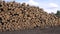 Freshly cut tree logs stack on field