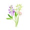 Freshly Cut Wildflowers and Meadow Plants on Stem as Floral Vector Composition