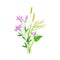 Freshly Cut Wildflowers and Meadow Plants on Stem as Floral Vector Composition