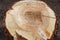 Freshly cut willow tree with annual rings. Close-up of round logs on blurred nature background. The texture of a fresh sawn wood