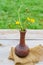 Freshly cut yellow coltsfoot flowers in clay vase on wooden table outdoors. Rustic style