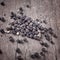 Freshly dried peppercorn on wooden table