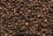 Freshly dryed clove spice texture close up. Top view.