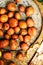 Freshly dug potatoes from a garden. metal table with potatoes. Close up shot of a basket with harvested potatos