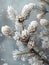 Freshly fallen snow on a pine branch