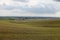 A freshly germinated Idaho wheat field.