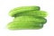 Freshly green cucumbers on white background