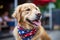 freshly groomed dog wearing a stylish bandana