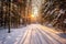 freshly groomed ski trails surrounded by pine trees