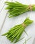 Freshly harvested barley grass on white background