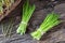 Freshly harvested barley grass on a wooden table