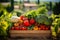 Freshly harvested and colorful vegetable assortment in a wooden box on a sunlit outdoor table