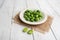 Freshly harvested cucamelons, Mexican sour gherkin pepquino or mouse melon.