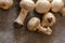 freshly harvested dirty mushrooms spread on paper, raw and healthy vegetables