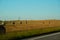 The freshly harvested grain field. Field of freshly bales of hay with beautiful sunset