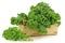 Freshly harvested kale cabbage in a wooden crate