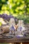 Freshly harvested lavender in small bottles in garden